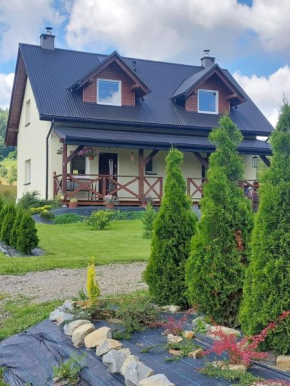 Domek Limba, Ustrzyki Dolne